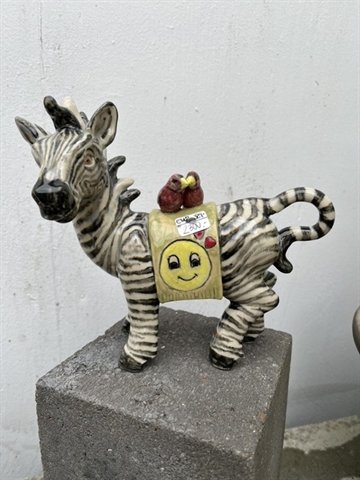 Zebra 