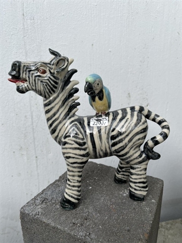 Zebra 