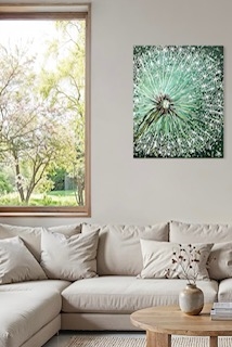 Magiske frø, 80 x 100 cm