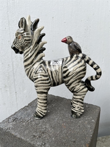 Zebra 