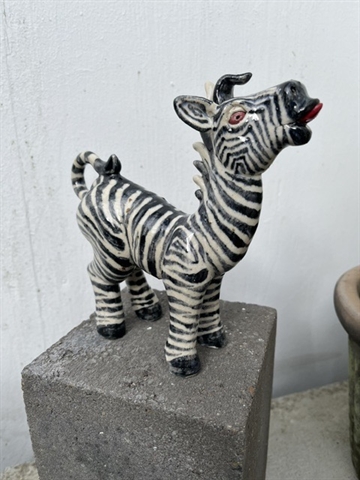 Zebra 