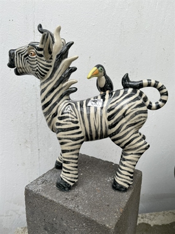 Zebra 