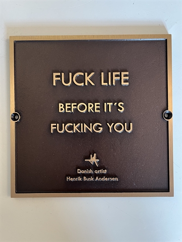 Bronzeplade "Fuck life before it's fucking you" 