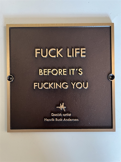 Bronzeplade "Fuck life before it\'s fucking you" 