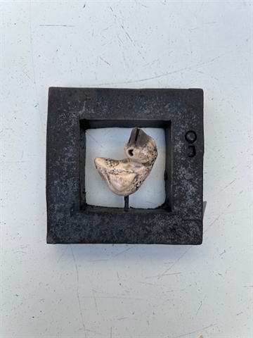 Fugl i ramme