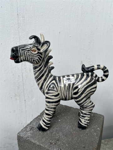 Zebra 