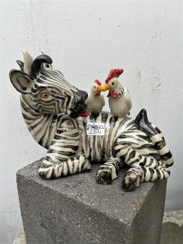 Zebra 