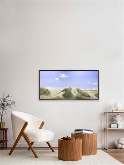 De store klitter i Gl. Skagen - Gitte Toft