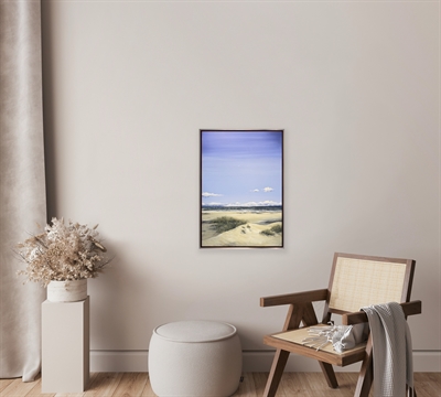 Klitternes bløde toppe - Gitte Toft