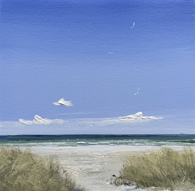 Skagen Sønderstrand - Gitte Toft
