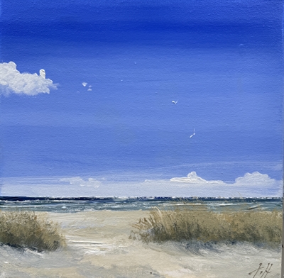 Skagen Sønderstrand - Gitte Toft