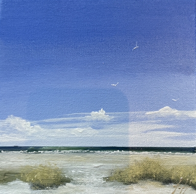 Skagen Sønderstrand - Gitte Toft