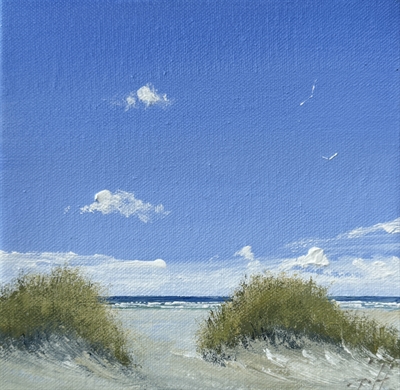 Skagen Sønderstrand - Gitte Toft
